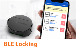 BLE Locking